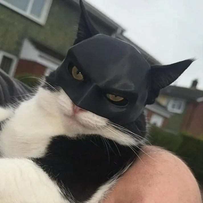 Batman Mask for Cats – Funny Superhero Costume for Pets