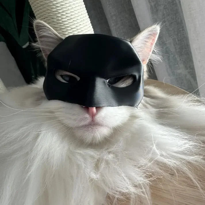 Cat Cosplay Mask for Halloween & Photoshoots